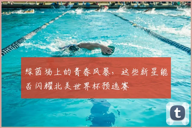 绿茵场上的青春风暴，这些新星能否闪耀北美世界杯预选赛