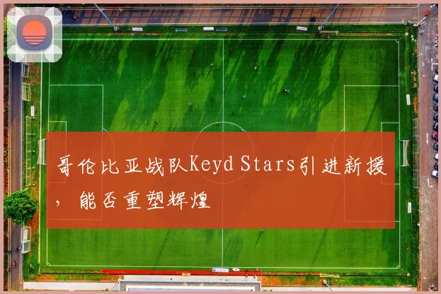 哥伦比亚战队Keyd Stars引进新援，能否重塑辉煌