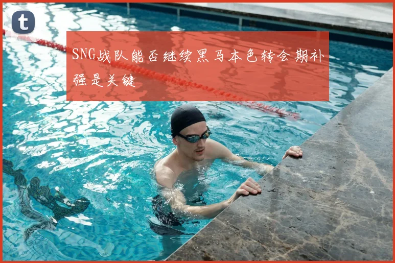 SNG战队能否继续黑马本色转会期补强是关键
