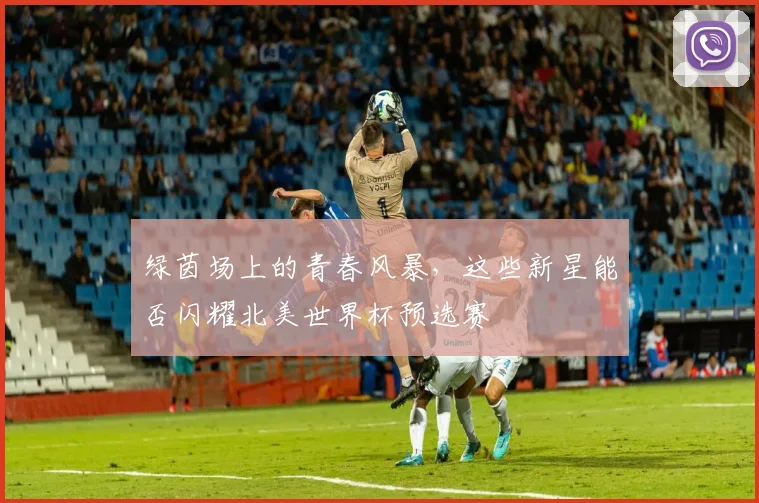 绿茵场上的青春风暴，这些新星能否闪耀北美世界杯预选赛